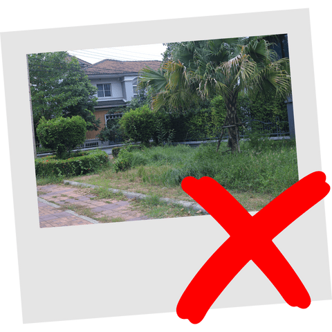 Custom House Portrait